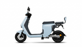 Sleek 600W Smart Urban Electric Scooter