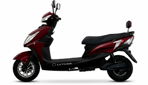 Dark Metallic Red