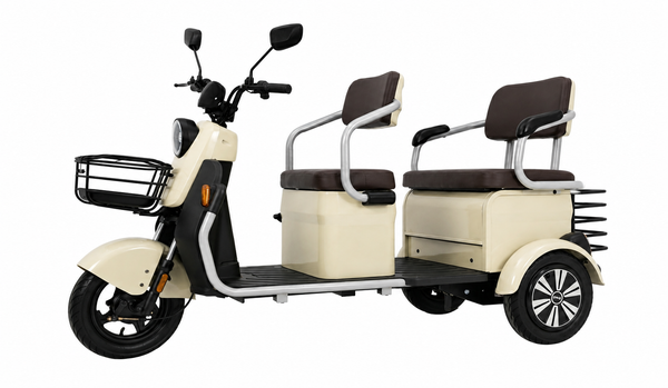 Multi-Passenger Electric Trike