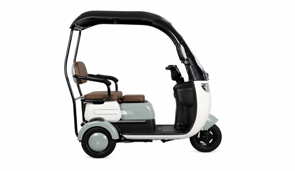 Electric Canopy Mobility Trike