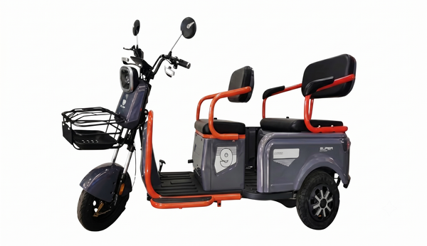 Electric Passenger Trike 48V 800W Motor