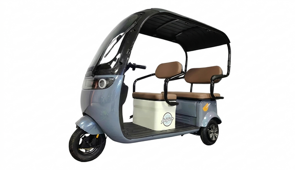 All-Weather 3-Wheel Electric Canopy Trike