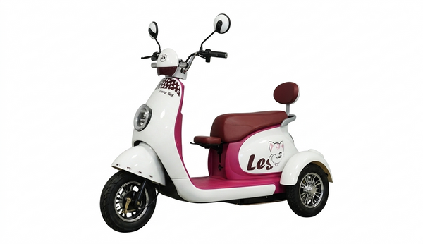 48V Electric Trike with Hydraulic Fork