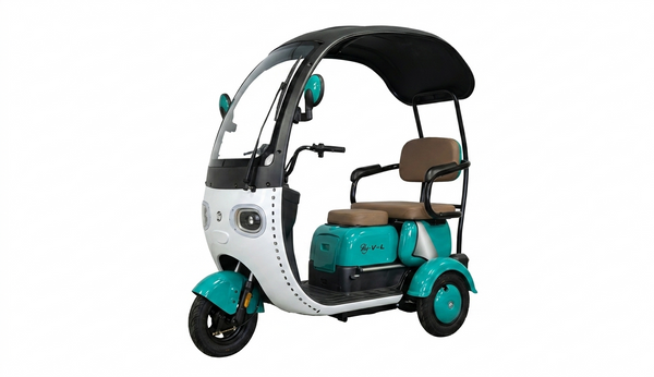 Electric Canopy Leisure Trike