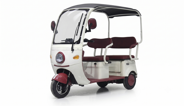 Electric Passenger Trike 800W
