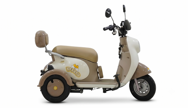Electric Mobility Trike 48V 800W