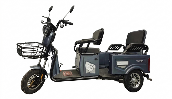 Electric 3-Wheel Passenger Trike